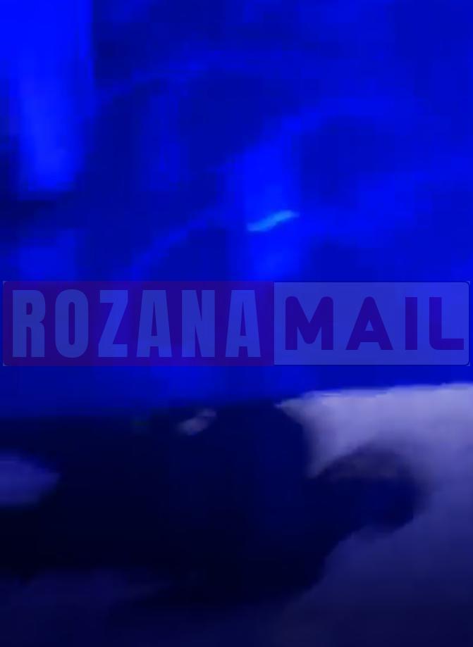 स्टिंग ऑपरेशन: मॉडल टाऊन में एक अधिकारी की बिल्डिंग सामने फैमिली सैलून की आड़ में जिस्मफरोशी, फ्रंट पर सैलून तो पीछे कमरों में परोसा जा रहा था शबाब, देखें लाइव तस्वीरें