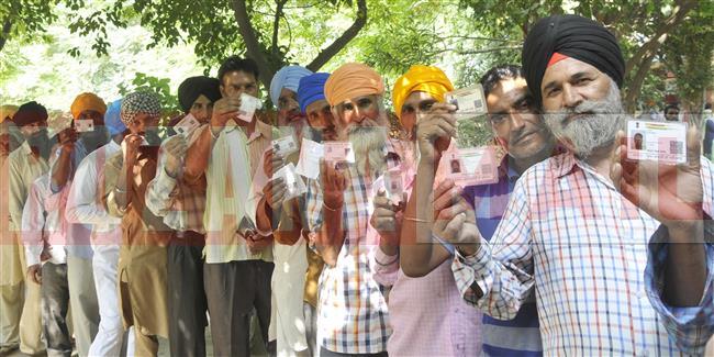 पूर्व मेयर राजा की सियासत गिरी, अमित ढल्ल और भाजपा के राजीव ढींगरा जीते