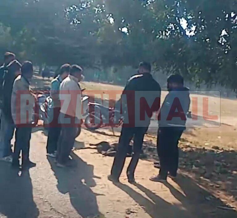 जालंधर में इंसानियत का दम टूटा: लेब्रा फीमेल डॉग के आपरेशन दौरान बच्चे न निकलने पर दांत तोड़ शव ग्राउंड में फैंका, कारवाई करवाएंगे डॉग लवर्स, पढ़ें पूरी खबर