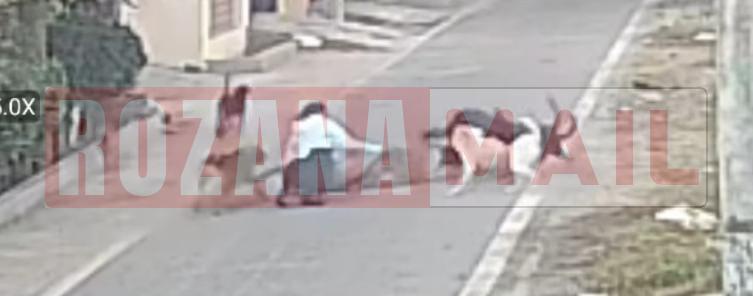 दूरदर्शन एंक्लेव में स्ट्रीट डॉग्स का अटैक: महिला को गिराया और घसीट कर ले गए, महिला कोमा में, देखें लाइव तस्वीरें