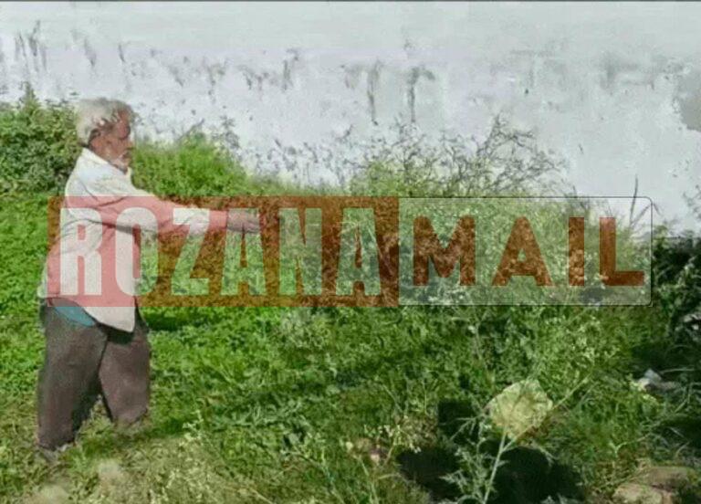 जालंधर के खेत में बच्चे का भ्रूण मिला: किसान काम करने आया तो नीले रंग के कपड़े में लिपटा मिला, जांच के लिए पुलिस पहुंची