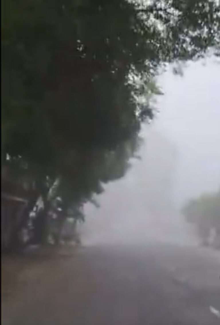 फगवाड़ा में सीजन की पहली धुंध: पारा चार डिग्री गिरा, जल्द मिलेगी गर्मी से राहत