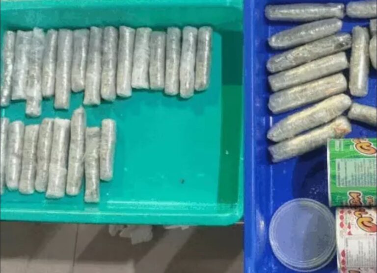 अमृतसर एयरपोर्ट पर बैंकॉक से आए दो यात्रियों से 2550 ग्राम गांजा मिला, शैंपू की बोतलों में छिपा रखा था, कीमत अढ़ाई करोड़ की