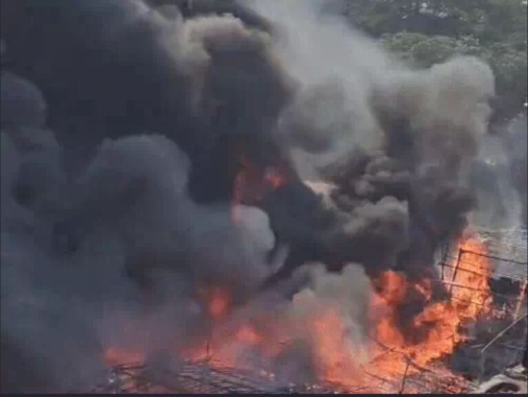 लुधियाना की सब्जी मंडी में भीषण आग लगी, लोगों में अफरा तफरी, फ्रूट के क्रेट से भड़की आग