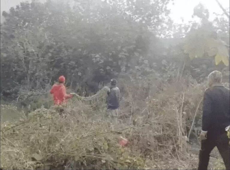 जालंधर के रिहायशी इलाके में घुसा जंगली जानवर, लोगों में दहशत, वन विभाग की टीम पहुंची