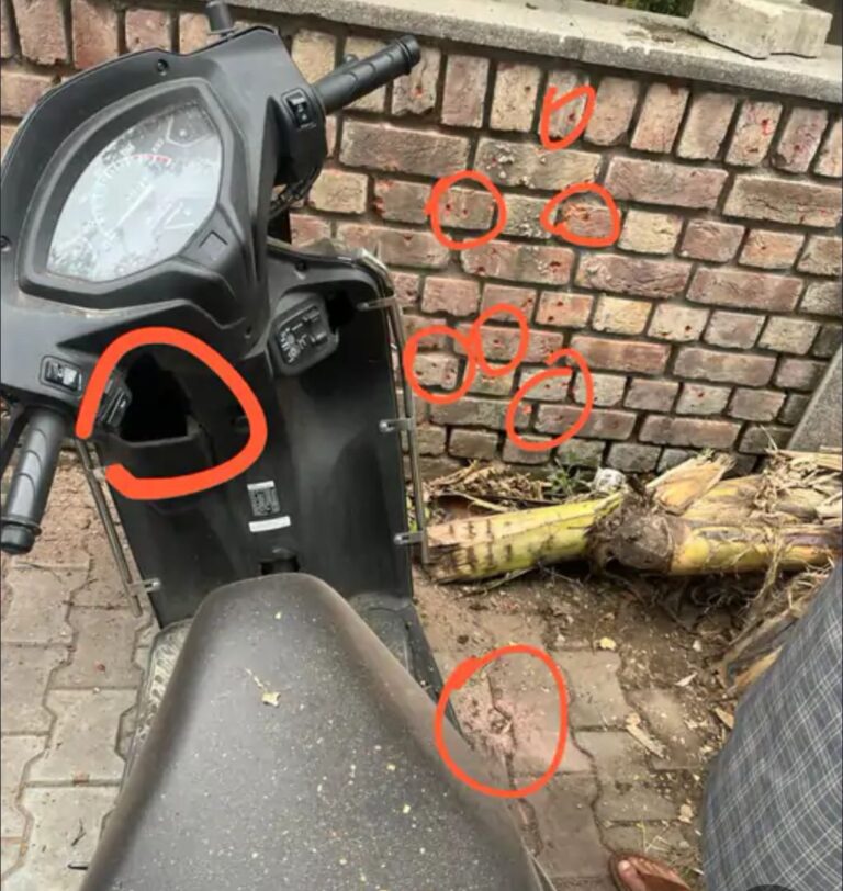 चंडीगढ़ में बीजेपी के हैडक्वार्टर पर हैंड ग्रेनेड से हमला करने वाले दोनों आरोपी गिरफ्तार, दोनों को रोपड़ से गिरफ्तार किया, पढ़ें