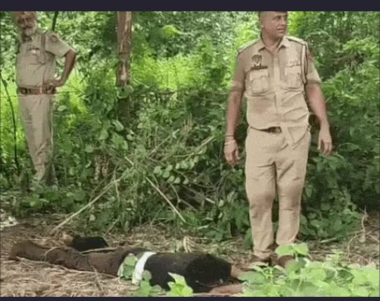 जालंधर में एनकाउंटर: फायरिंग करने के आरोपी को पकड़ने गई पुलिस पर गोलियां चलाई, पुलिस ने जवाबी कार्रवाई करते हुए बदमाश को गोली मारी